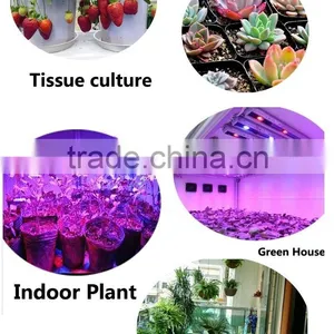 XQD 180w/270w/450w LED Plant Grow Light Full Spectrum Shenzhen thumbnail-6
