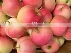 Gala Apple thumbnail-1