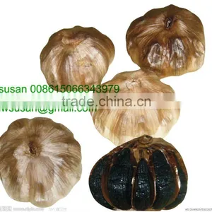 Fermented Garlic thumbnail-1