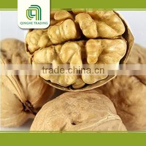 Raw Processing Type and Dried Style Walnut for Sale thumbnail-1