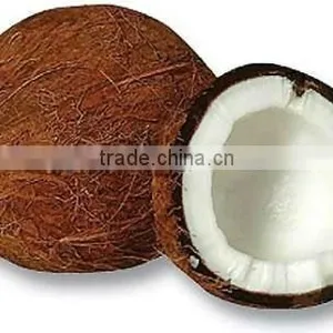 SHELL FRESH BIG COCONUTS thumbnail-1