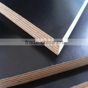 Building Plywood for Concrete Form Poplar Core thumbnail-2