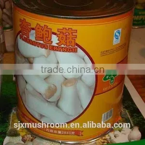 Canned Pleurotus Eryngii thumbnail-1