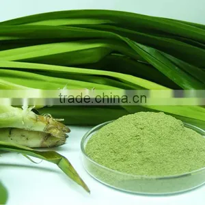 PANDAN POWDER thumbnail-1