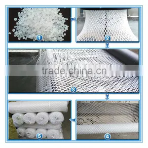 Low Price Plastic Mesh Square Hole Mesh China Factory thumbnail-2