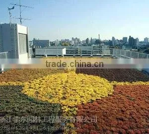 SOL 2015 pp Material Roof Pot Green Roof Container for Decoration thumbnail-5