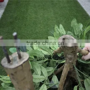 Artificial Bonsai Trees Artificial Orange Tree With Fruit Real Trunk Artificial Tree thumbnail-5
