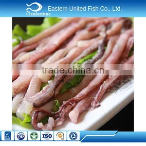 Gold Supplier Frozen Giant Squid Tentacle in Squid thumbnail-1