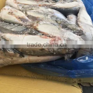 Block Frozen Pacific Mackerel thumbnail-1