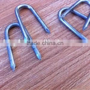 Button Cap Nails China Supplier thumbnail-1