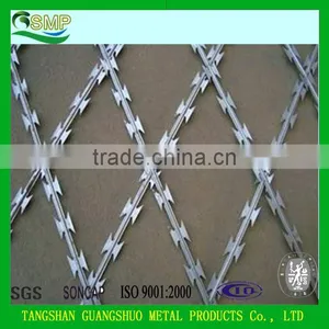 Umbrella Head Roofing Nails, Hot Sale Galvanized Roofing Nails thumbnail-6