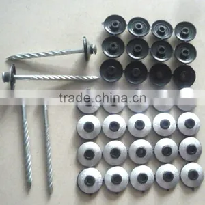 Galvanized Roof Screw Nail With Plastic Cap thumbnail-3