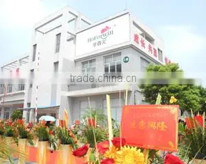 Foshan Tongxin Artificial Flowers Co., Ltd. company overview - view 1 thumbnail
