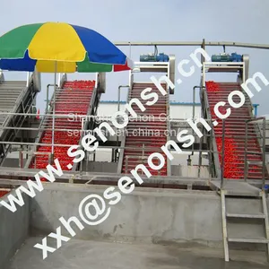 Tomato Paste Production Line With Treatment Capacity 350tons per Day thumbnail-1