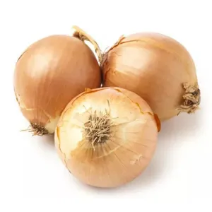 Fresh Yellow Onion in 25kg/Mesh Bag thumbnail-2