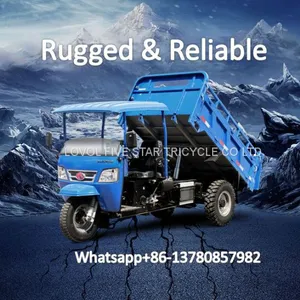 Diesel Tricycle, Cargo Loader, Trike, Three Wheeler, LOVOL Super Heavy Loading 5000kg thumbnail-1