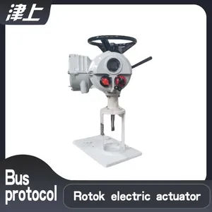 Straight Stroke Electric Actuator IQ18+VE64/1818FNP Corrosion Resistant Electric Actuator thumbnail-1