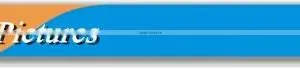 GPS Tracker Control Web Online Server Supporting TLT-2H thumbnail-4