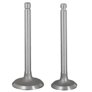 China Factory Supply S195, S1100, S1105, S1110, S1115, S1125 Diesel Engine Valve Kit thumbnail-2