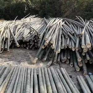 Class A Round Bamboo Sticks Were Made for Agarbatti Bamboo Stick, Bamboo Skewer, Bamboo Rod, Bamboo Pole thumbnail-3