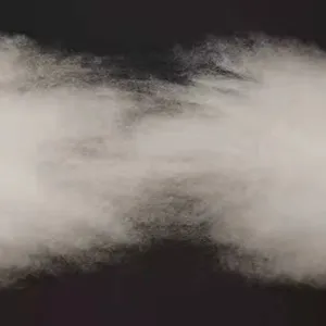 White in White Baby Cashmere Fibre Dehaired Cashmere Within 15 Mic 36mm With Saf Certified thumbnail-1