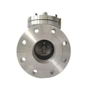 High-Quality Stainless Steel Swing Check Valve thumbnail-3