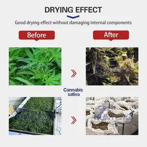 Continuous Hemp Leaves Flower Dryer Drying Machine Equipment EPC thumbnail-5