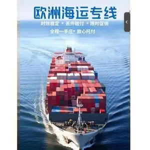 Tiansen Freight Agency Co., Ltd Air Sea DDP Door To Door Logistics Service To USA Europe SEA Middle East Africa For E-commerce & Bulk Cargo thumbnail-1