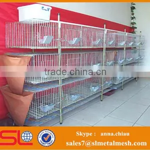 Industrial Cage for Rabbit/ Welded Rabbit Cage Wire Mesh / Rabbit Cage in Kenya Farm thumbnail-3