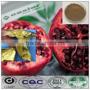 GMP Hot Sale Natural Pomegranate Plants Extract thumbnail-1