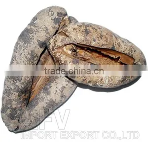 Sea Cucumber Vietnam, Pomegranate Fish, Actinopyga Lecanora thumbnail-4