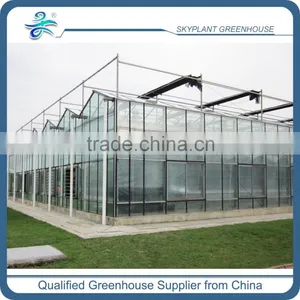 Sp-V-96-P Venlo Plastic Film Span Greenhouse thumbnail-2