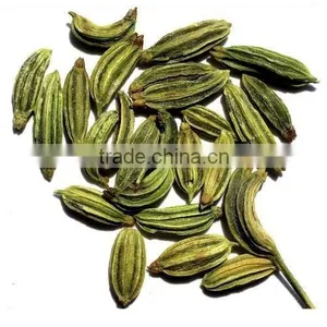 Fennel Seed Oil (Fresh & Pure) thumbnail-1