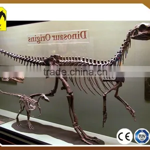 Museum Quality Life Size Fiberglass Dinosaur Skeleton thumbnail-1