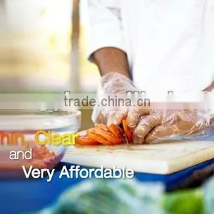 Disposable PE Glove/High Quality PE Gloves/food Grade PE Gloves thumbnail-1