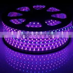 HV Strip IP67 3528/5050 Waterproof High Voltage Flex Led Strips thumbnail-1