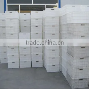 Hot Sale Automatic Bean Sprout Growing Machine, Bean Sprouting Machine,Bean Sprout Machine Price thumbnail-2
