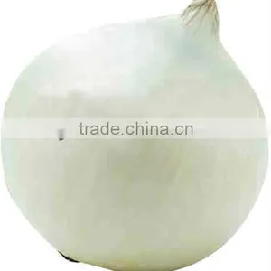New Crop Onion thumbnail-1