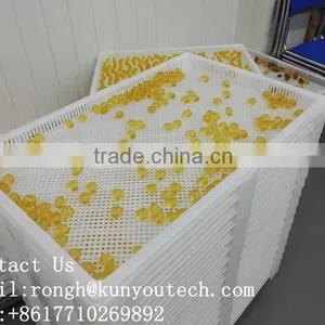 580*900 Mms Big Volume Paintball Tumble Rotary Drying Machine With High Capacity thumbnail-3