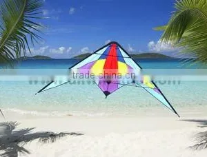Dual Line Delta Stunt Kites - Straight Edge Kites thumbnail-1