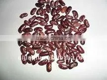 Purple Speckled Kidney Bean thumbnail-1