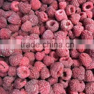 Apple Fruit Fresh thumbnail-2