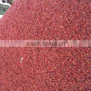 Dry Chiles From India thumbnail-2