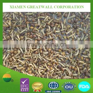 2015 Crop Nameko Mushrooms in Brine thumbnail-1