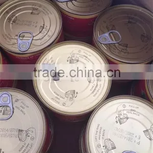 2016 28-30% Double Concentrate Canned Tomato Paste thumbnail-1