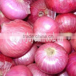 Chinese New Crop Fresh Red Onion thumbnail-1