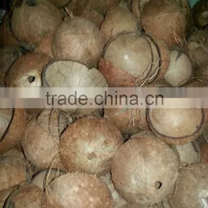 COCONUT SHELL thumbnail-1