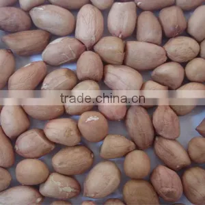 Import Export Peanut thumbnail-1