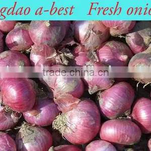 Fres Onion thumbnail-1