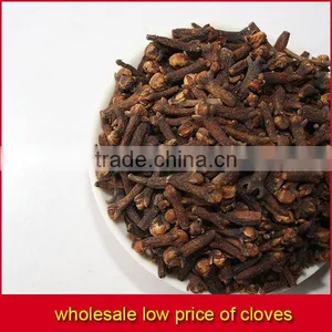High Quality Natural Clove thumbnail-4
